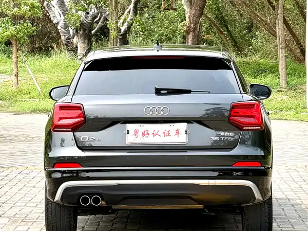 Audi Q2L 2020