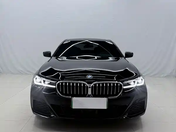 BMW 5 Series New Energy 2023
