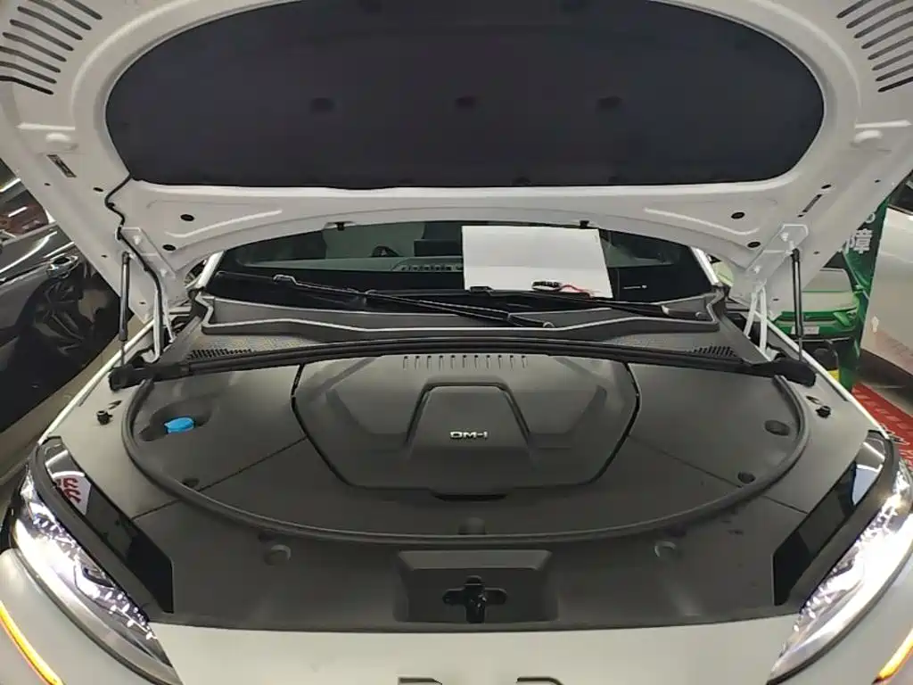 BYD PLUS New Energy 2025 — фото 20
