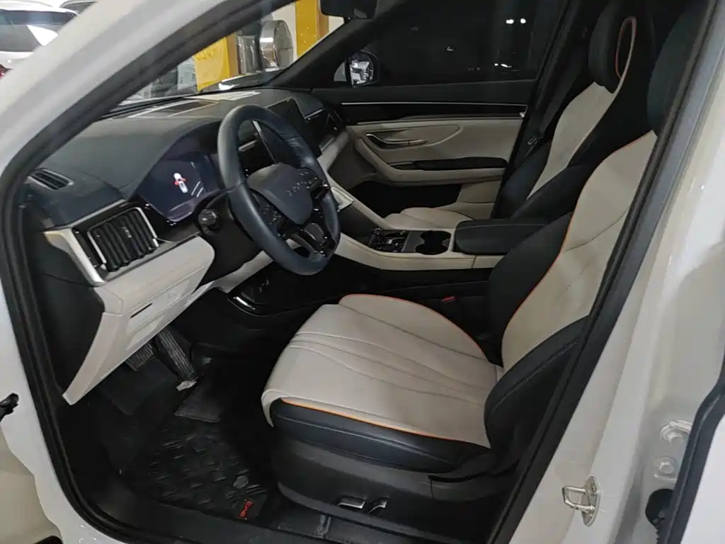 BYD PLUS New Energy 2024 — фото 15