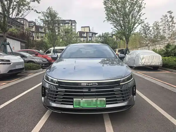 BYD Destroyer 05 2024