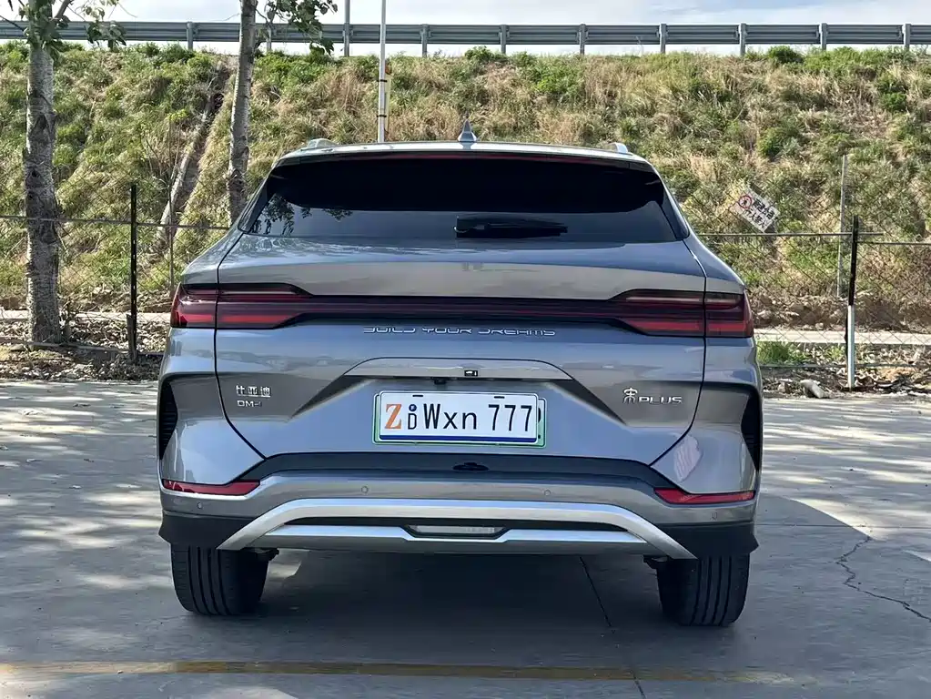 BYD PLUS New Energy 2024 — фото 8