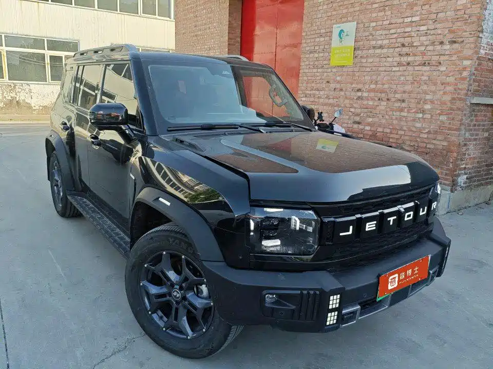 Shanhai Traveller C-DM 2024 — фото 2