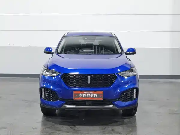 Wey VV6 2019