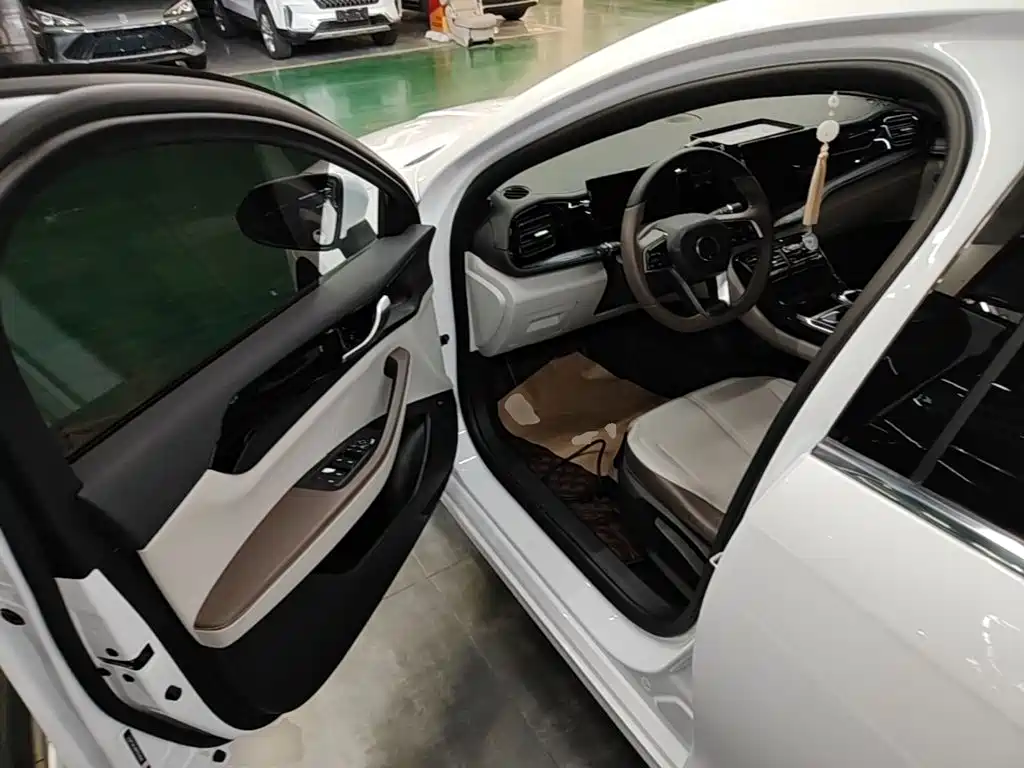 BYD Qin PLUS 2023 — фото 16