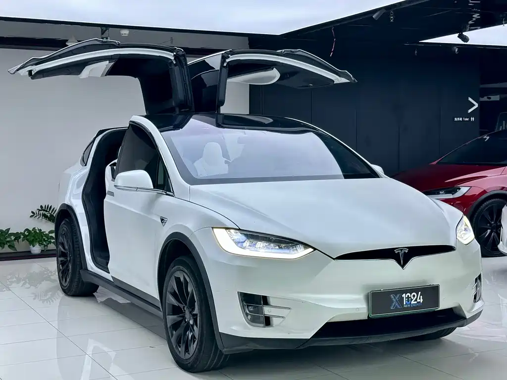 Tesla Model X 2021 — фото 3