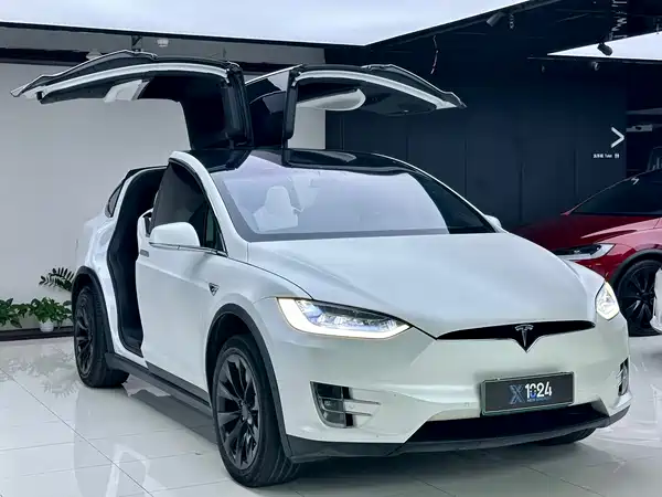 Tesla Model X 2021