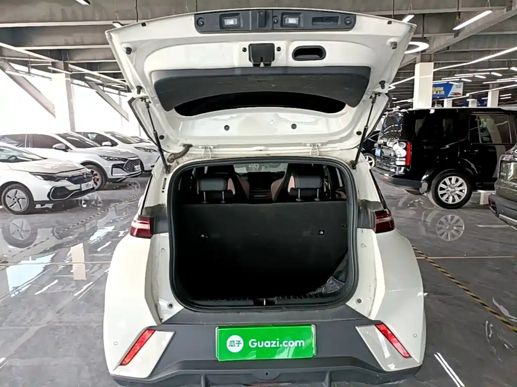BYD Seagull 2024 — фото 19