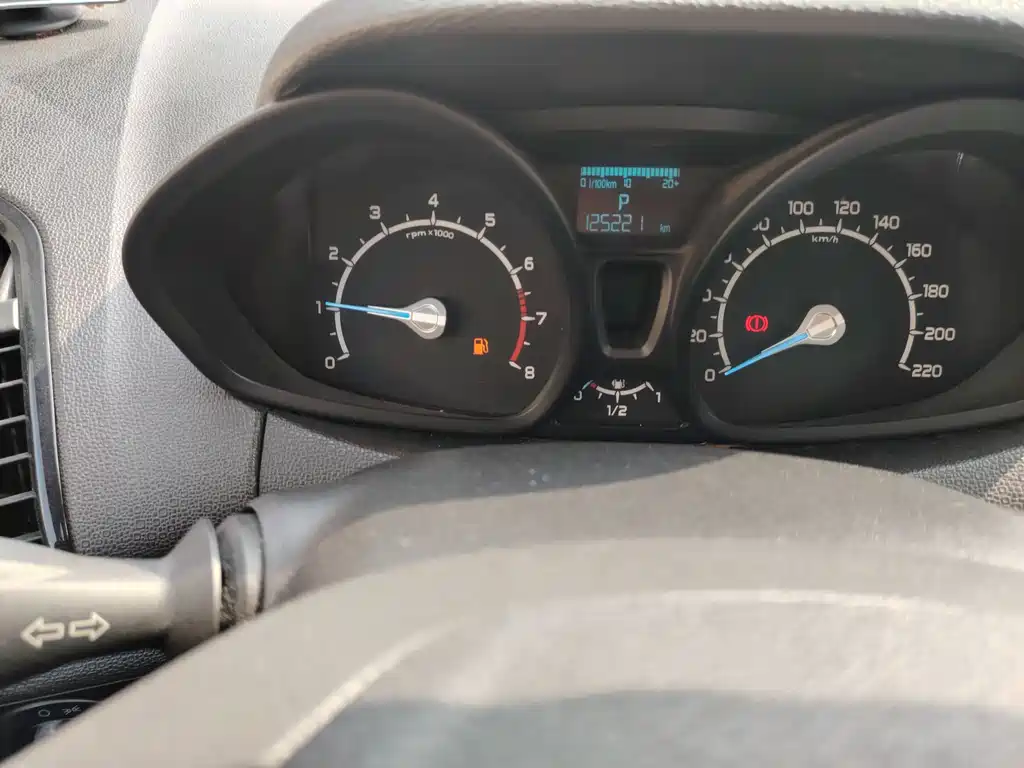 Ford Ecosport 2015 — фото 19