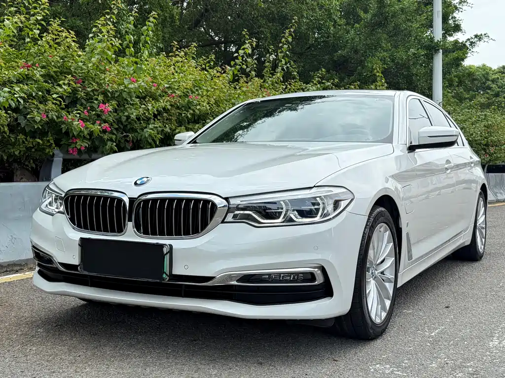 BMW 5 Series New Energy 2019