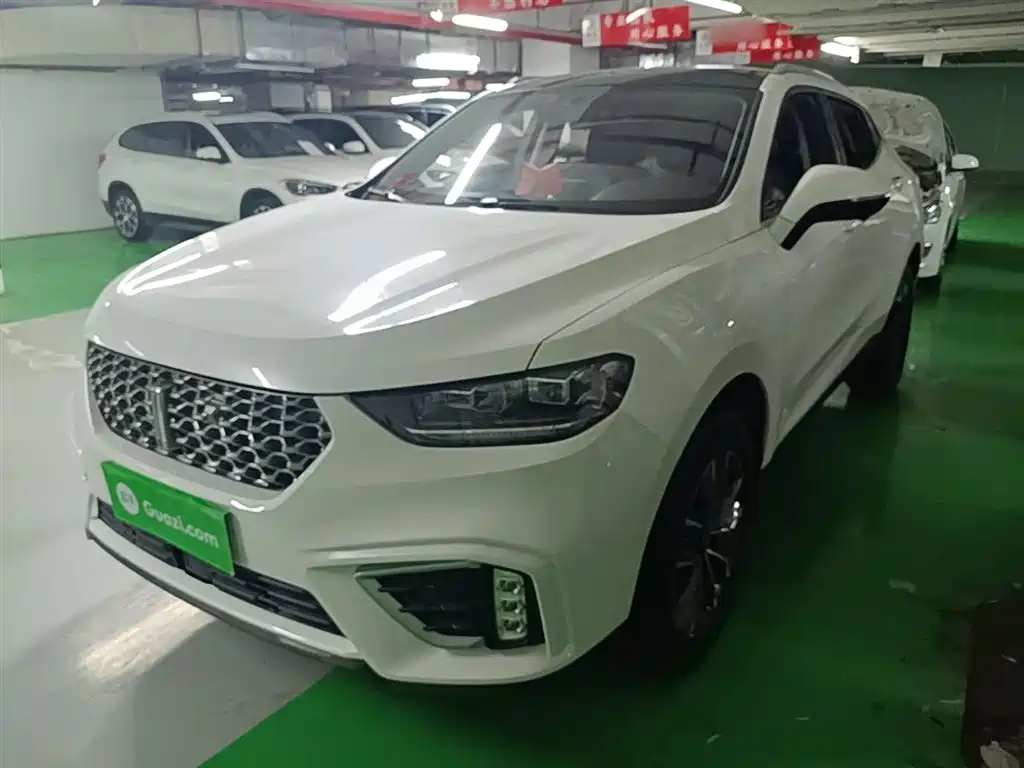 Wey VV5 2021