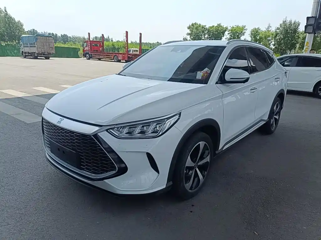 BYD PLUS New Energy 2022 — фото 2