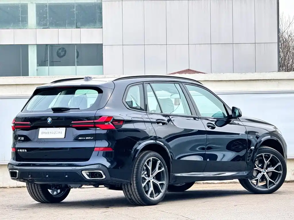 BMW X5 — фото 5