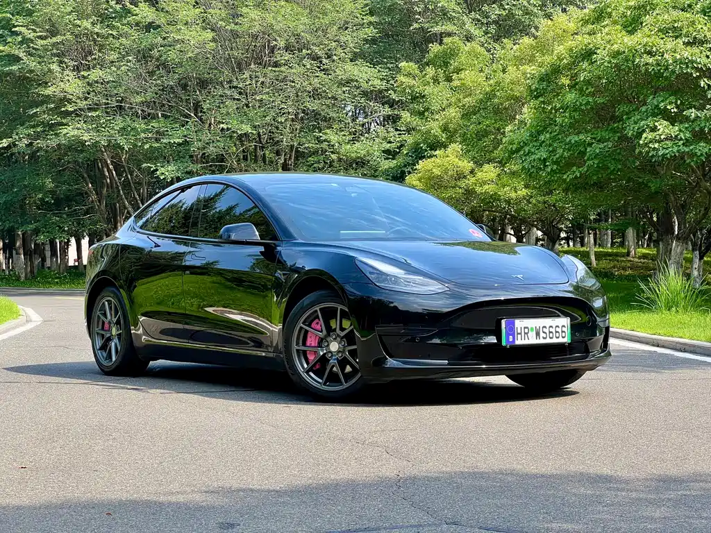 Tesla Model 3 2021 — фото 4