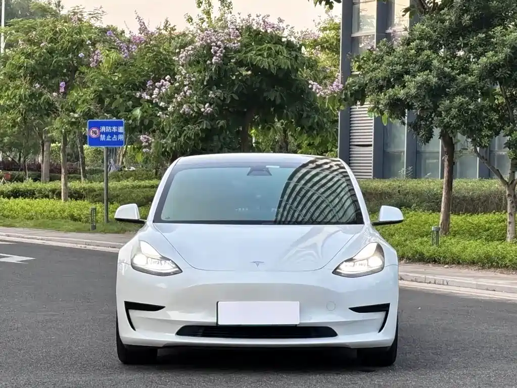 Tesla Model 3 2021 — фото 12