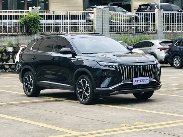 Dongfeng Haoji 2022