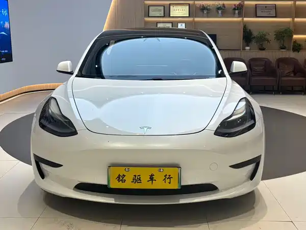 Tesla Model 3 2021