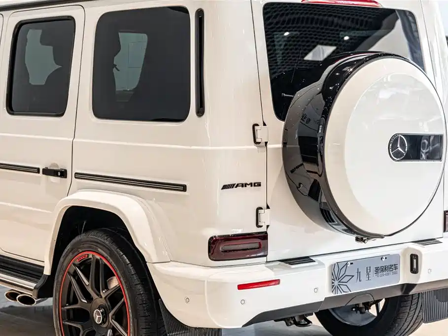 Mercedes-Benz G-Class 2020 — фото 19