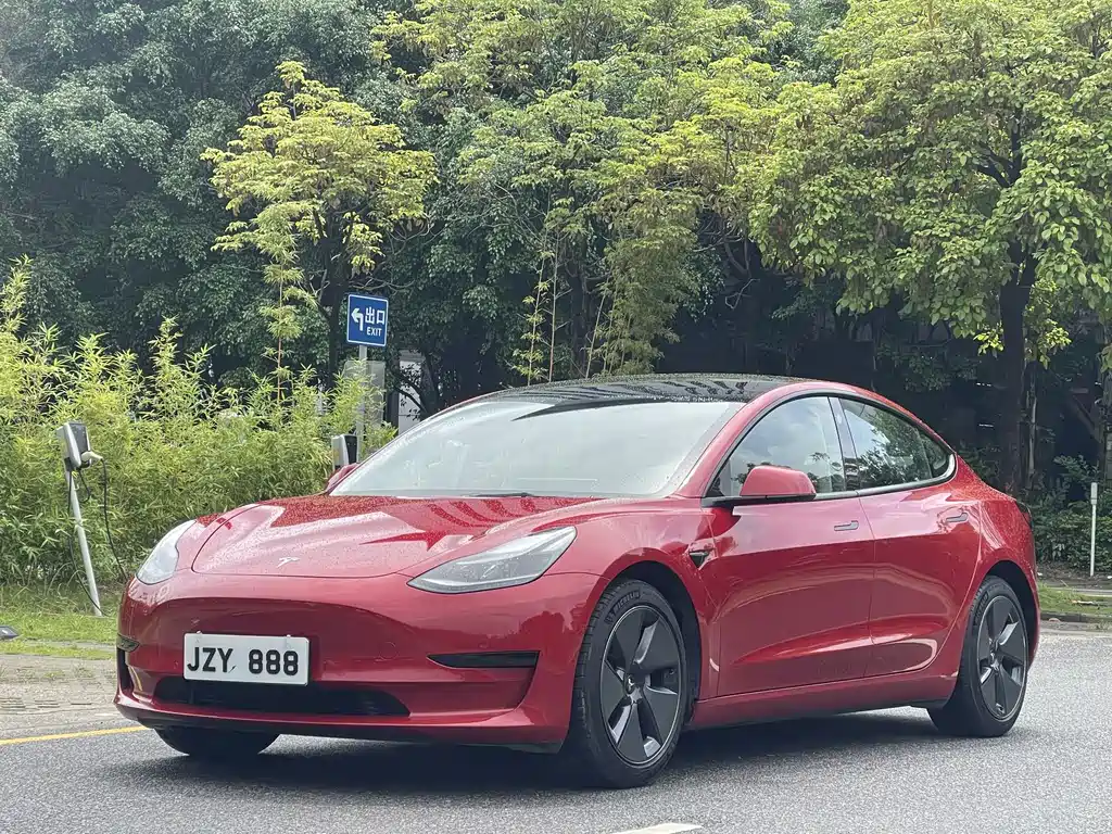 Tesla Model 3 2021