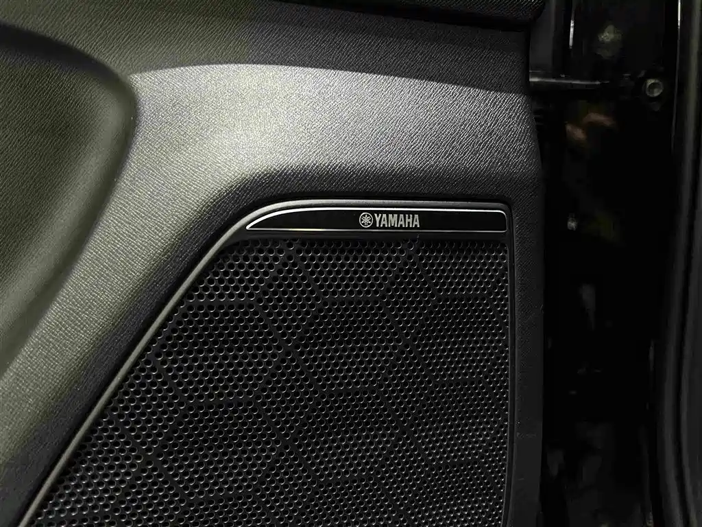 GAC Trumpchi M8 2023 — фото 19