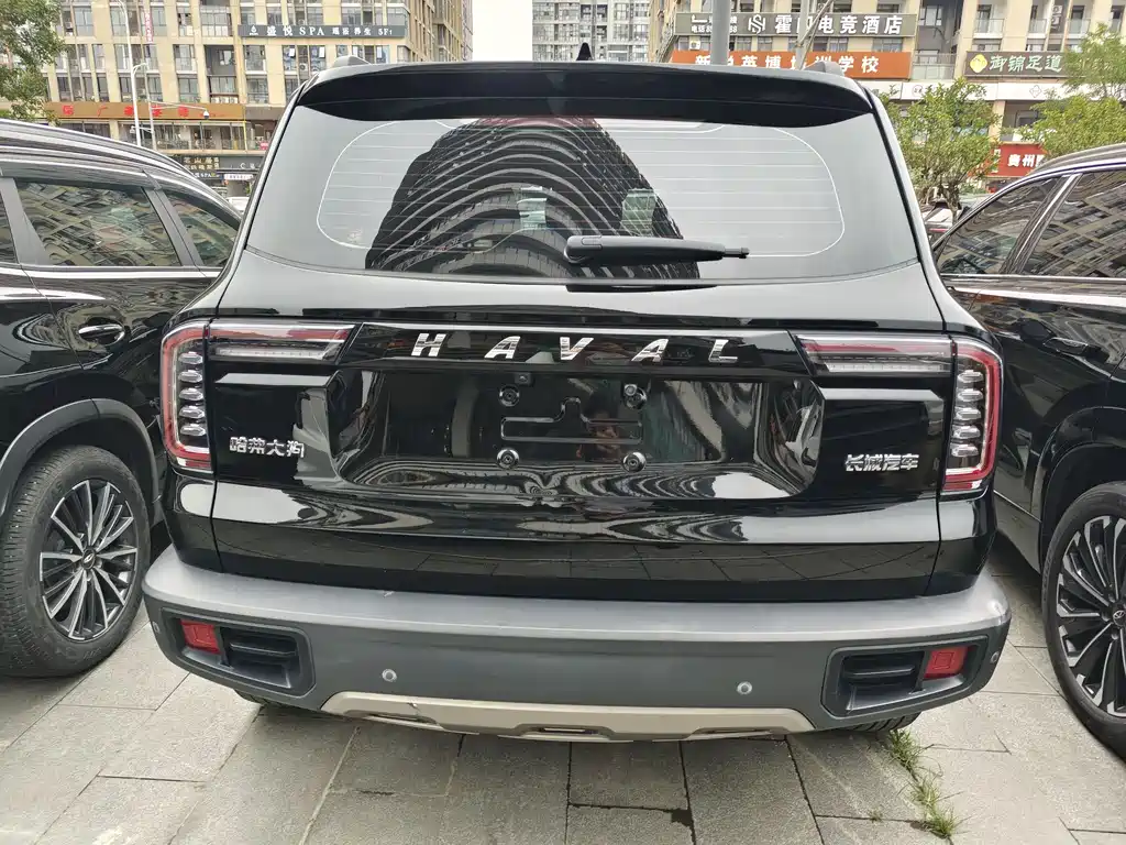 Haval Big Dog 2022 — фото 16