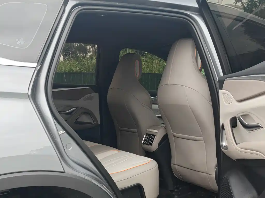 BYD Pro New Energy 2024 — фото 30