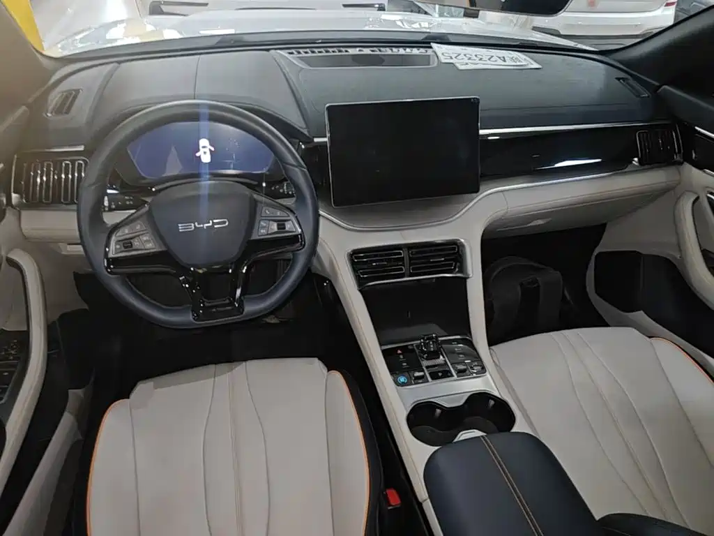 BYD PLUS New Energy 2024 — фото 10