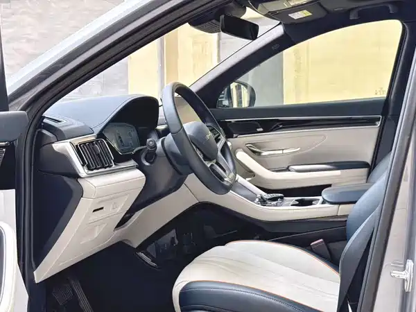 BYD Song PLUS New Energy 2024