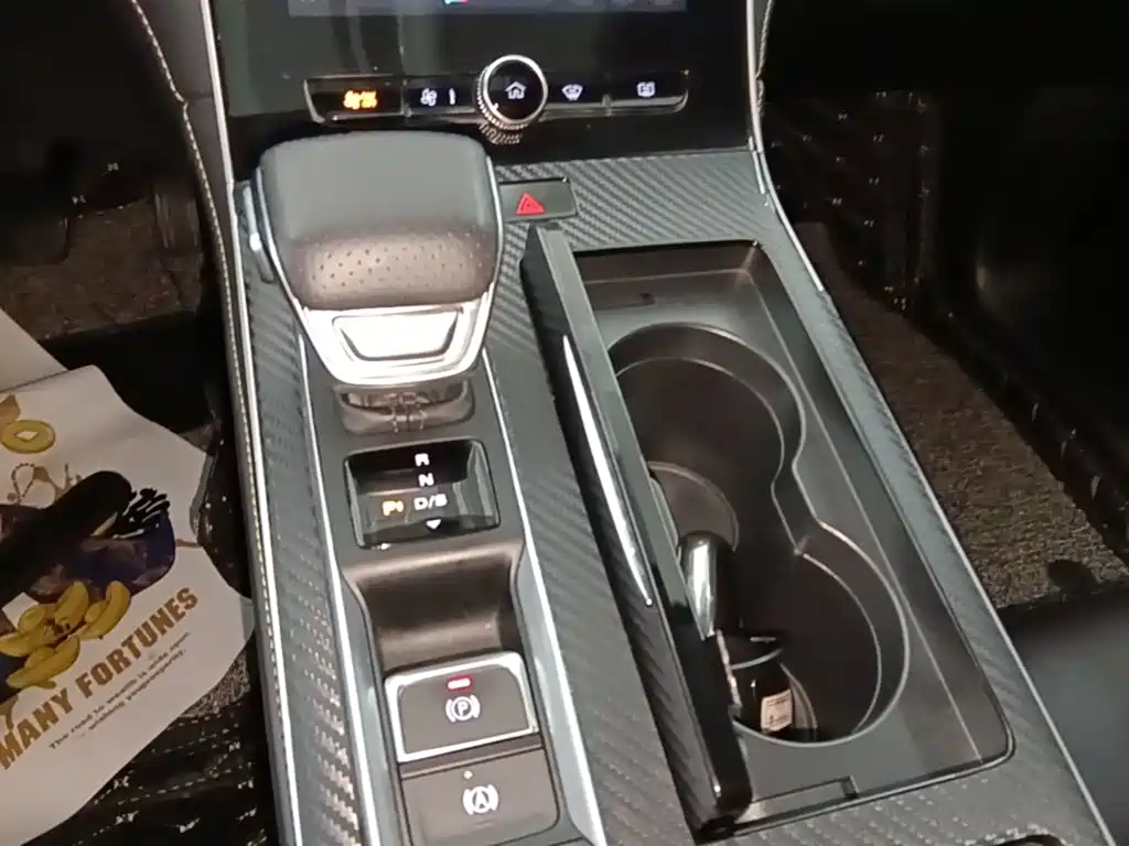 Roewe MAX 2021 — фото 14