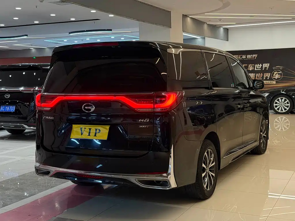 GAC Motor Trumpchi M8 2023 — фото 9