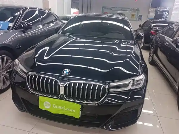 BMW 5 Series New Energy 2021