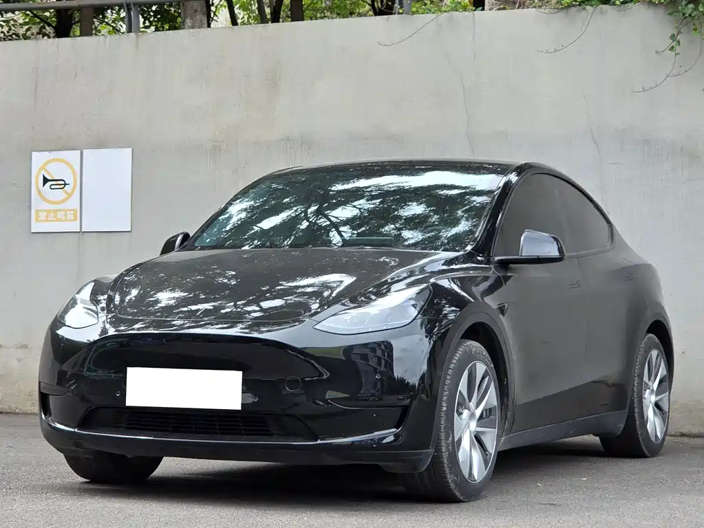 Tesla Model Y 2023 — фото 1