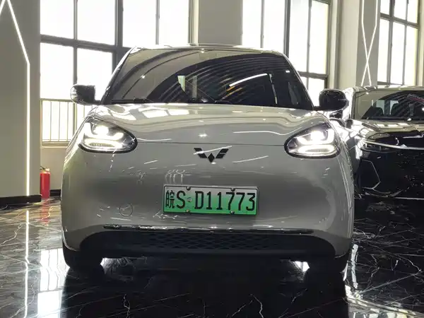Wuling Bingo 2023
