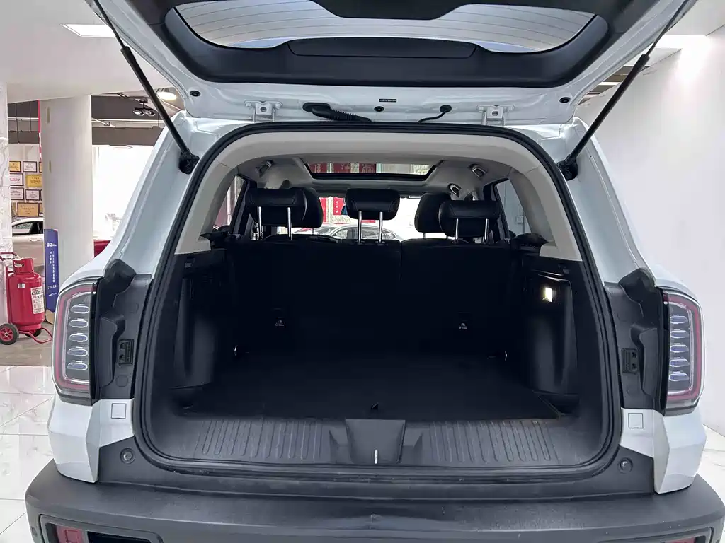 Haval Big Dog 2021 — фото 17