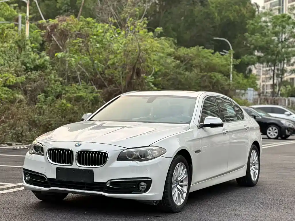 BMW 5 Series 2013 — фото 1