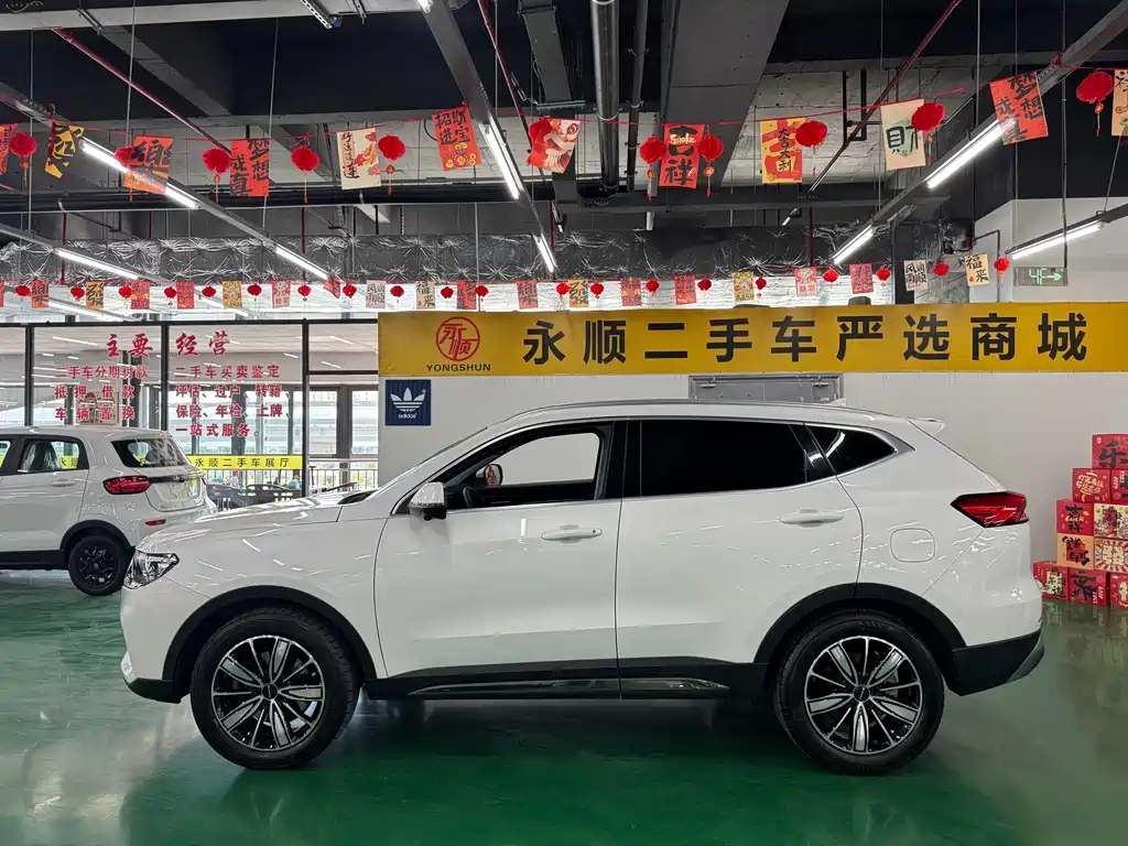 Haval H6 2024 — фото 10
