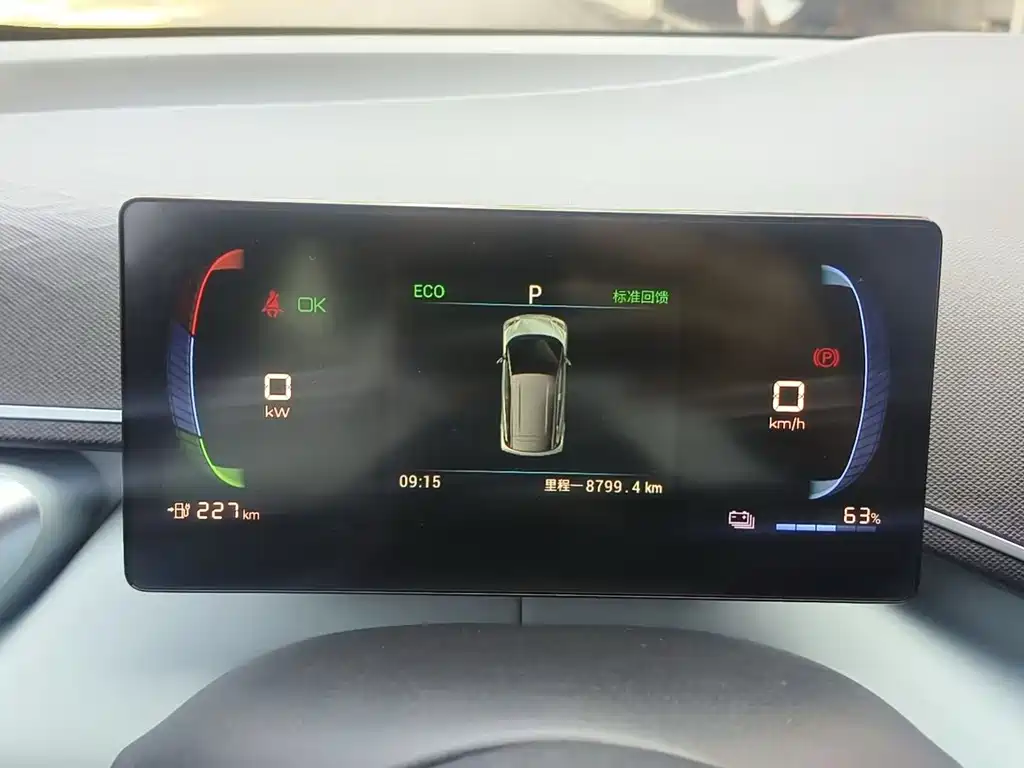 BYD Seagull 2024