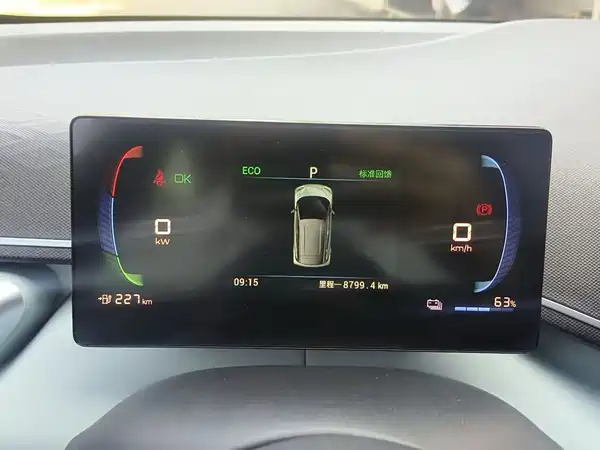 BYD Seagull 2024