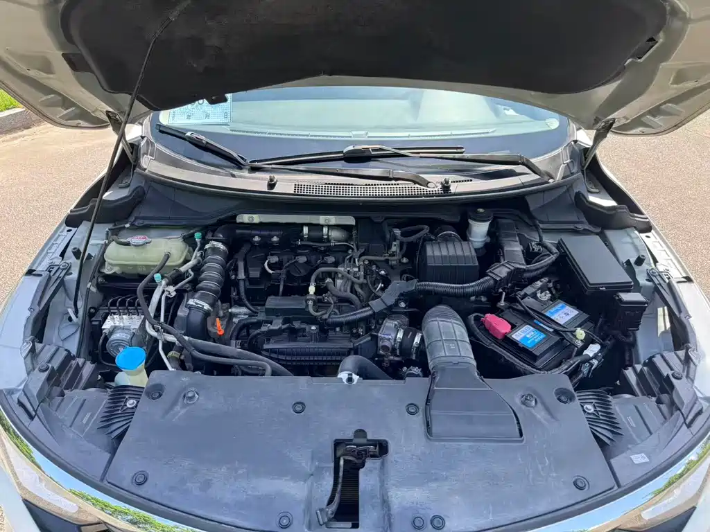 Honda Crider 2019