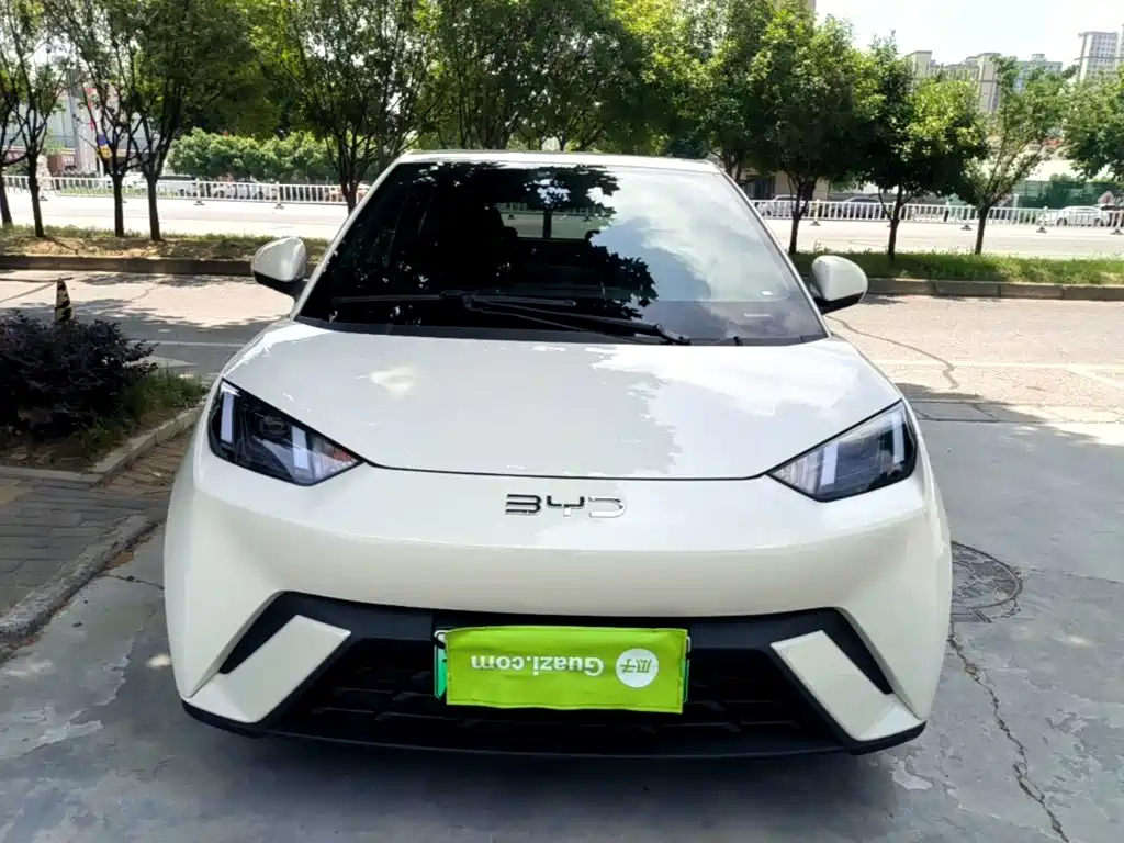 BYD Seagull 2024