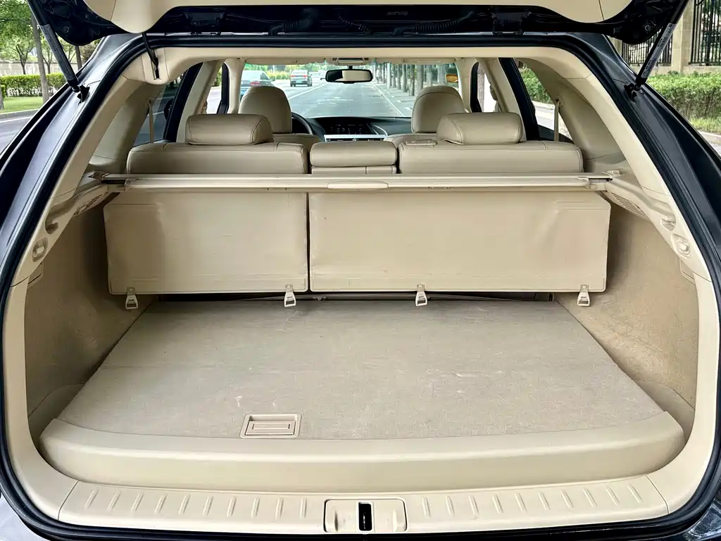 Lexus RX Classic 2010 — фото 11