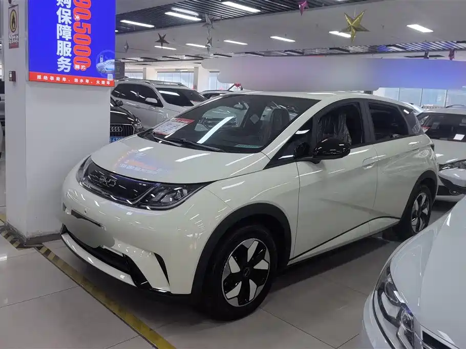 BYD Dolphin 2026
