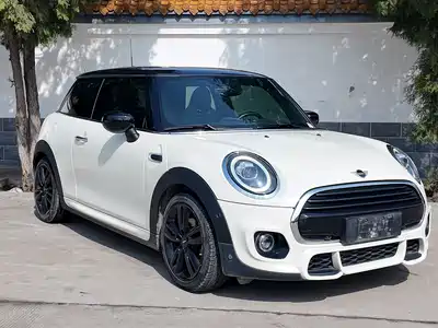 MINI MINI 2021
