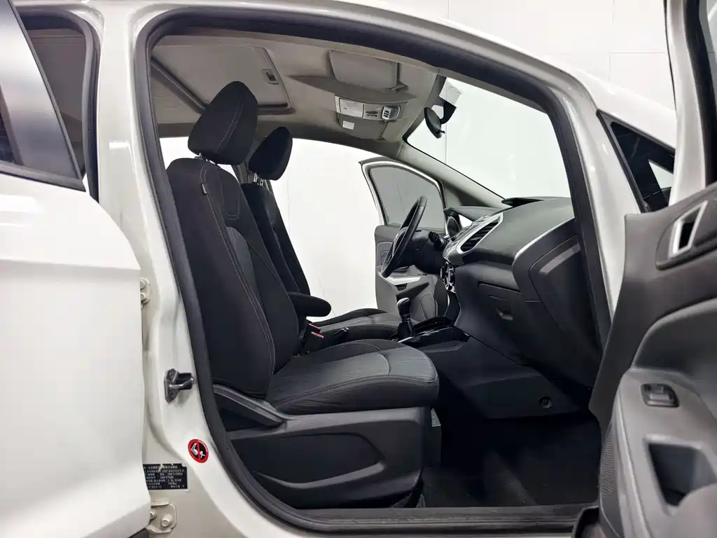 Ford Ecosport 2014 — фото 14