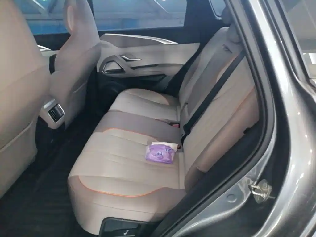 BYD Pro New Energy 2025 — фото 17