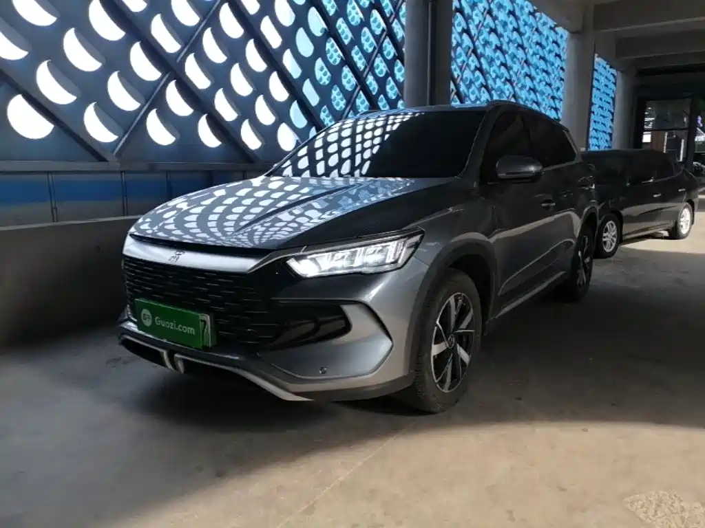 BYD Pro New Energy 2025 — фото 2