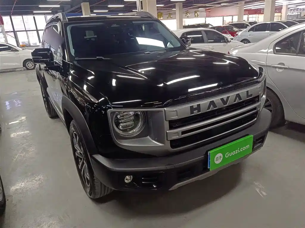 Haval Big Dog 2024 — фото 22