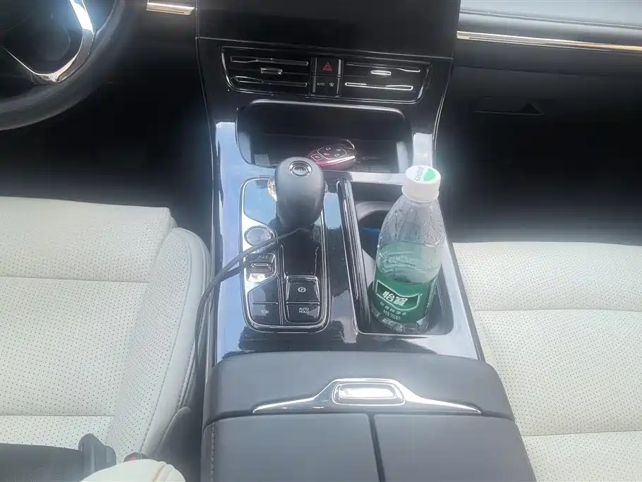 GAC Motor Trumpchi E9 2023 — фото 16