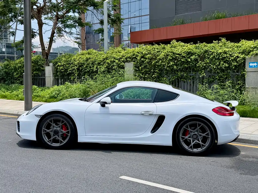 Porsche Cayman 2015 — фото 8