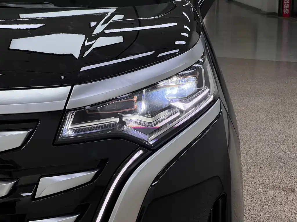 Denza D9 2024 — фото 8
